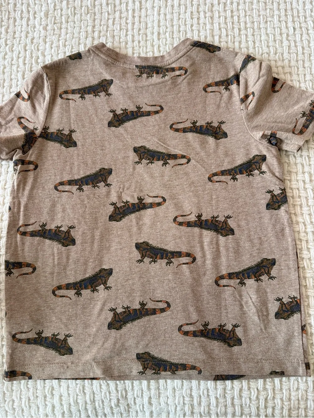 Old Navy Brown Short Sleeve Tee with Iguana Print